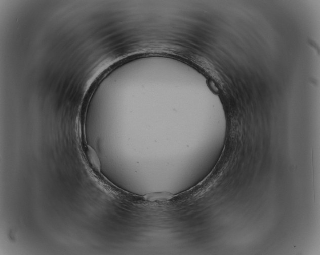 X0000092050936200710101013