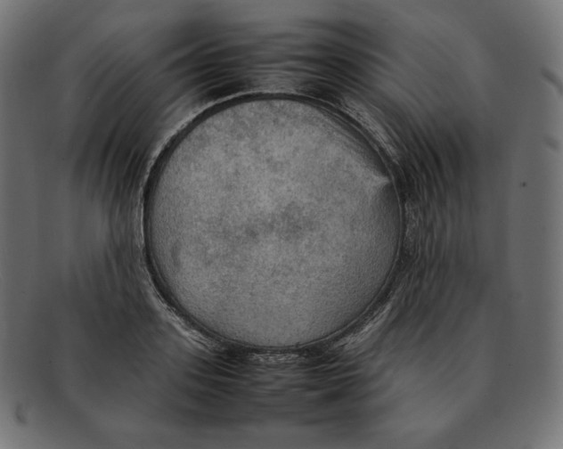 X0000092050939200710101013