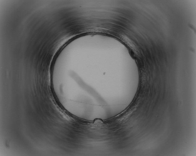 X0000092050940200710101013