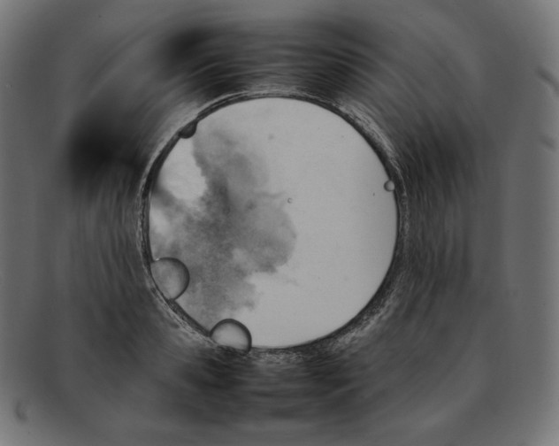 X0000092050941200710101013