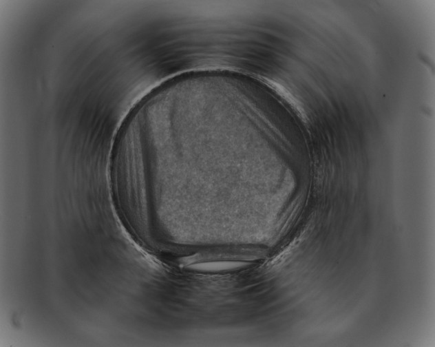 X0000092050943200710101013