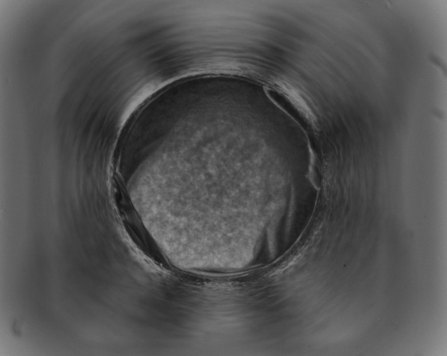 X0000092050944200710101013