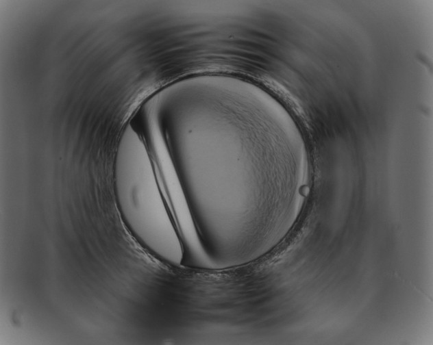 X0000092050945200710101013