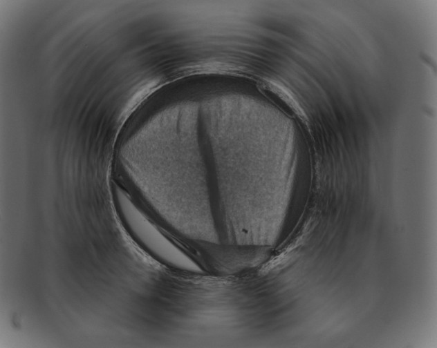 X0000092050946200710101013