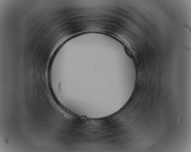 X0000092050947200710101013