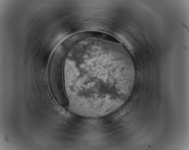 X0000092050948200710101013