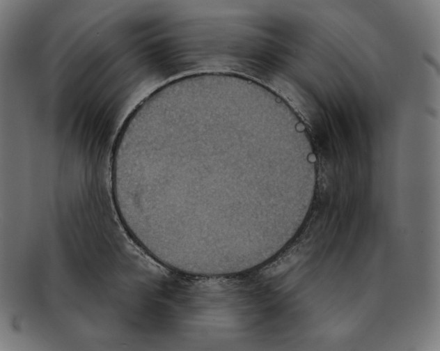 X0000092050950200710101013