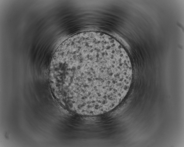 X0000092050953200710101013