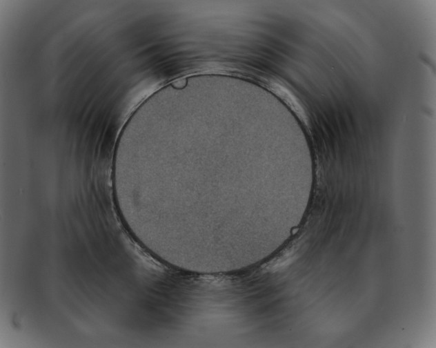 X0000092050954200710101013