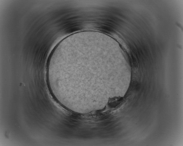 X0000092050955200710101013