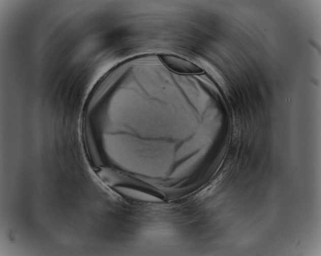 X0000092050958200710101013