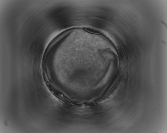 X0000092050959200710101013