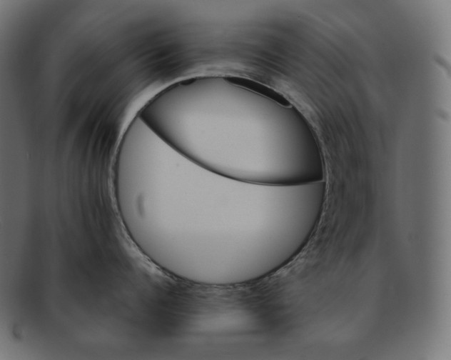 X0000092050960200710101013