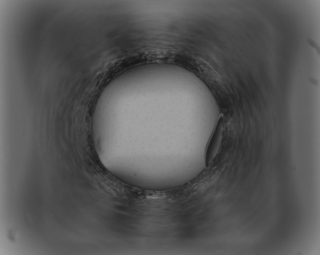 X0000092050961200710101013