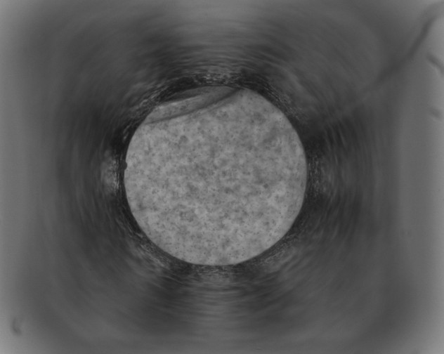 X0000092050962200710101013