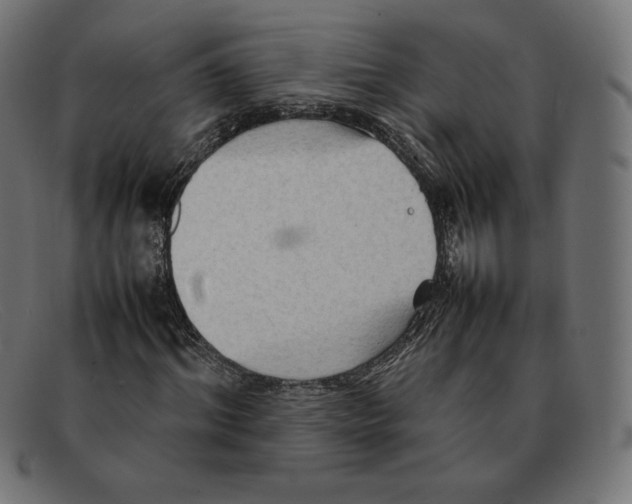 X0000092050964200710101013