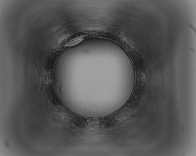 X0000092050965200710101013