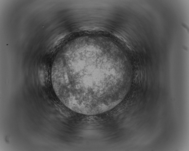 X0000092050966200710101013