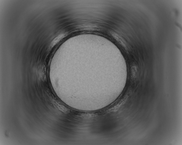 X0000092050970200710101013