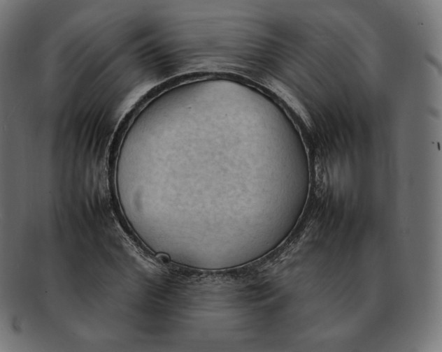 X0000092050972200710101012