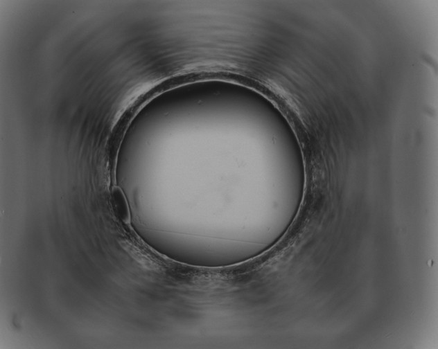 X0000092050973200710101012