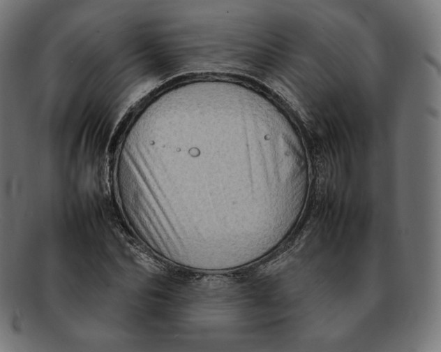 X0000092050974200710101012