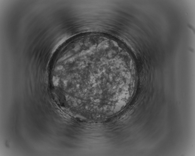 X0000092050975200710101012