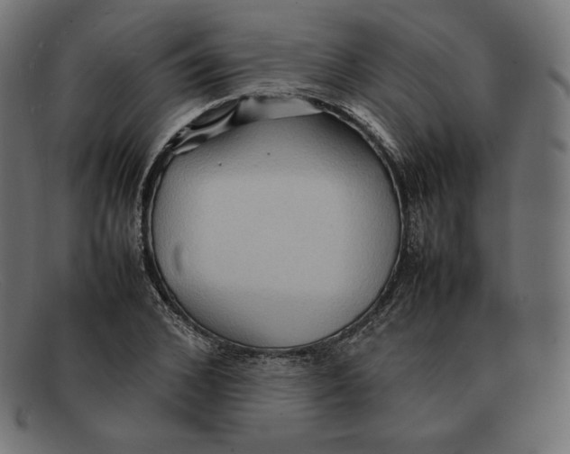 X0000092050976200710101012