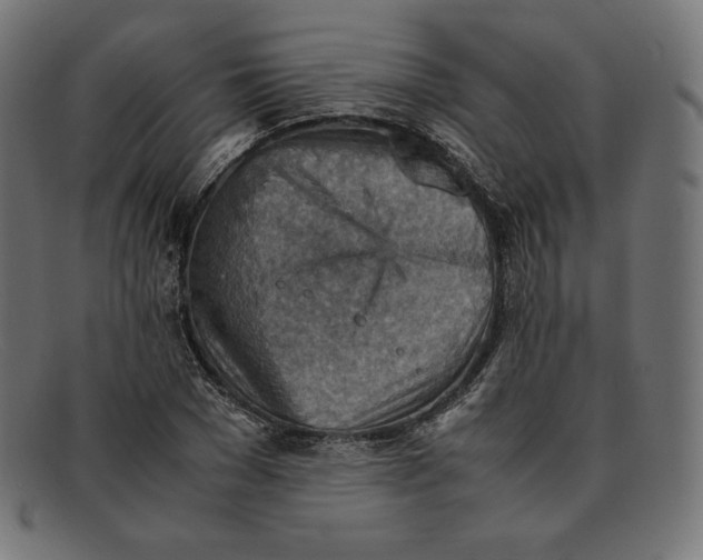 X0000092050977200710101012