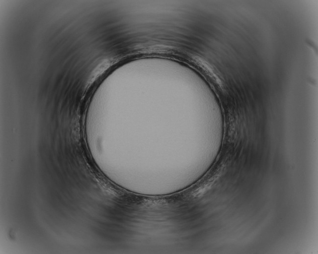 X0000092050978200710101012