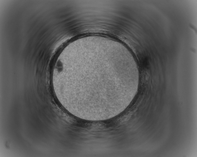 X0000092050979200710101012