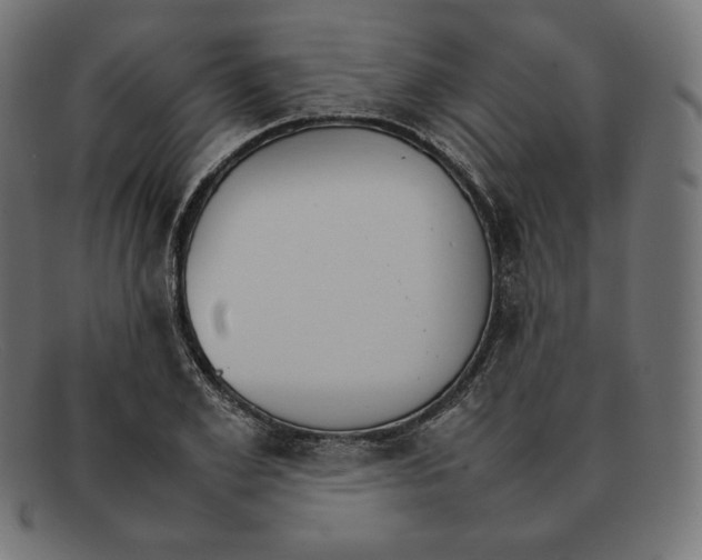 X0000092050981200710101012