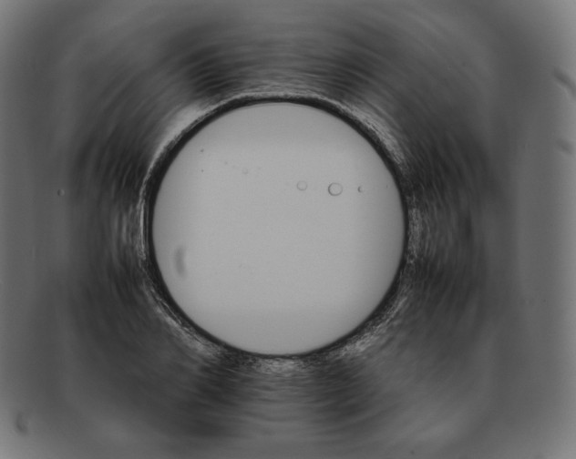 X0000092050982200710101012