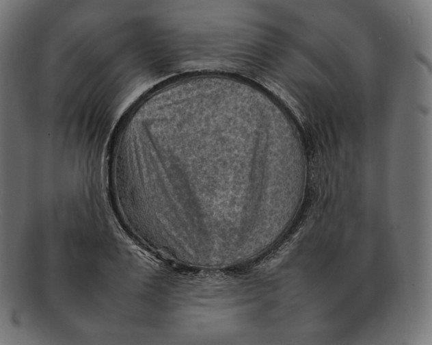 X0000092050983200710101012