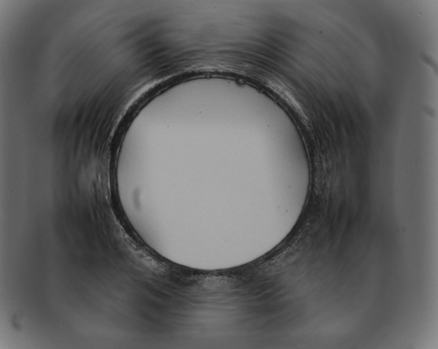 X0000092050984200710101012