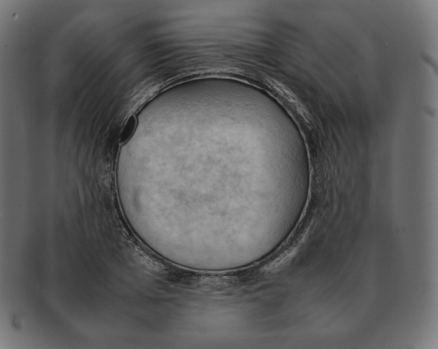 X0000092050985200710101012