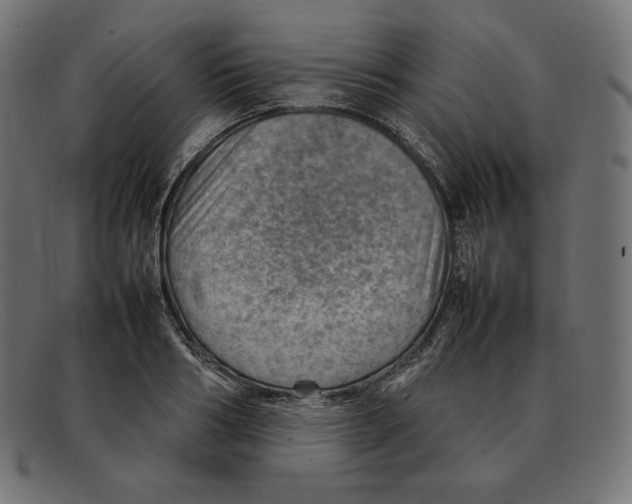 X0000092050986200710101012