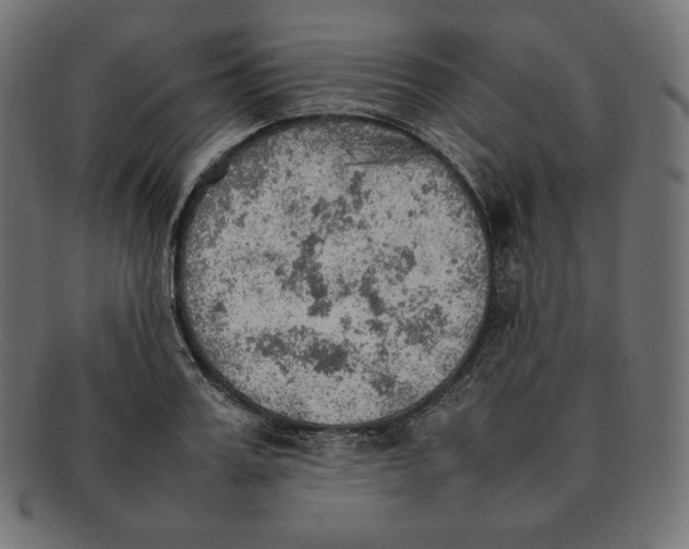 X0000092050987200710101012