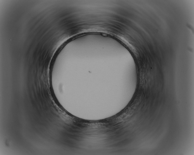 X0000092050988200710101012