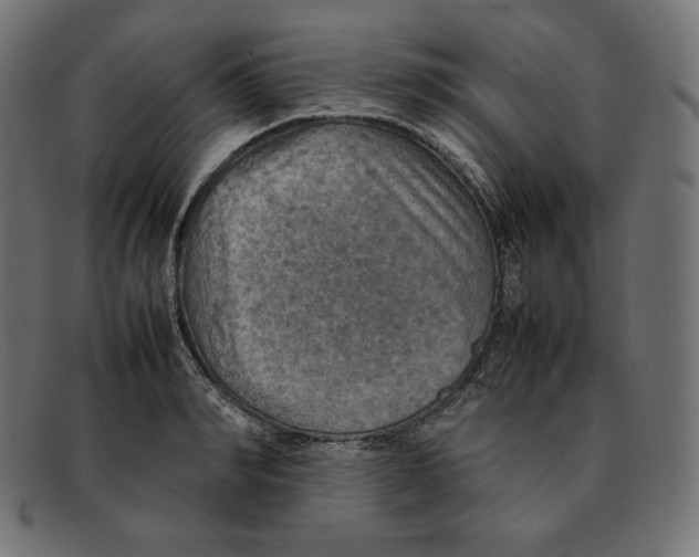 X0000092050990200710101012