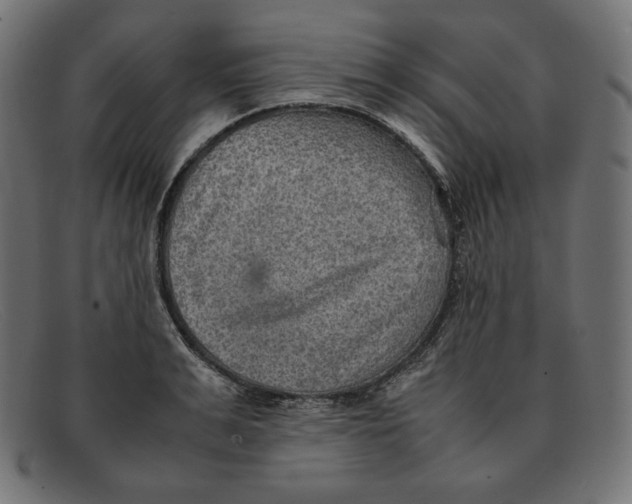 X0000092050991200710101012