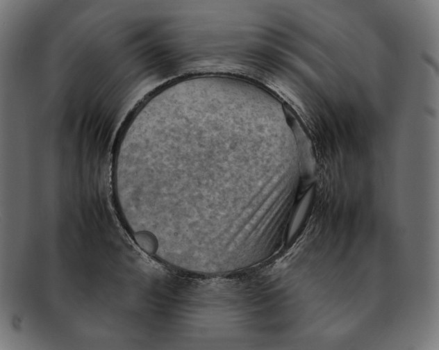 X0000092050992200710101012