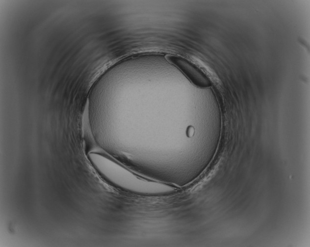 X0000092050993200710101012