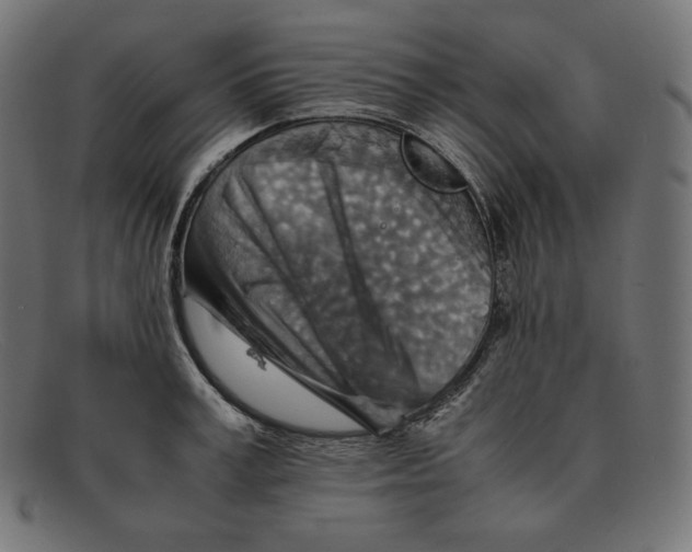 X0000092050995200710101012