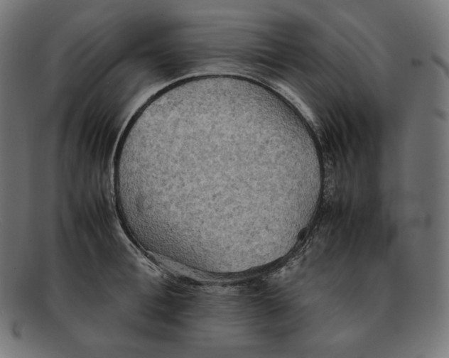 X0000092050996200710101012