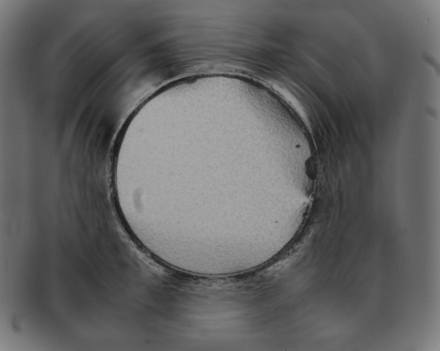 X0000092050997200710101012