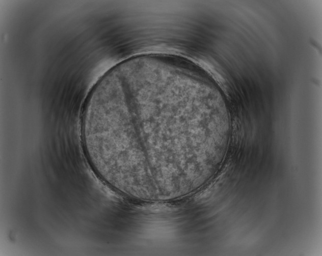 X0000092050998200710101012