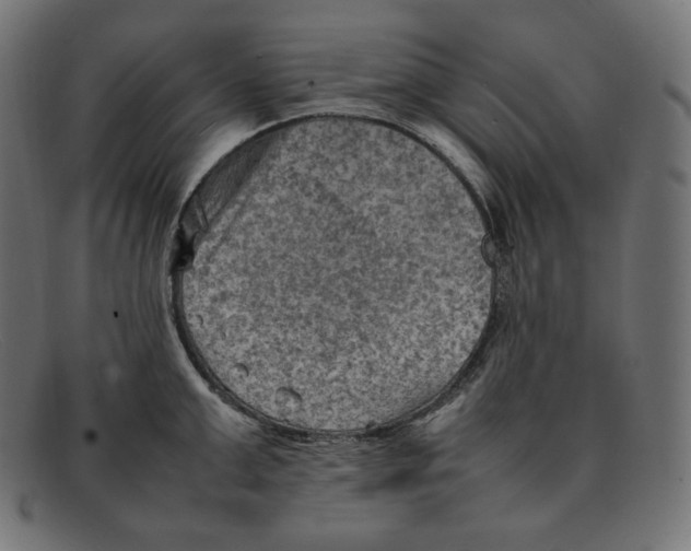 X0000092050999200710101012