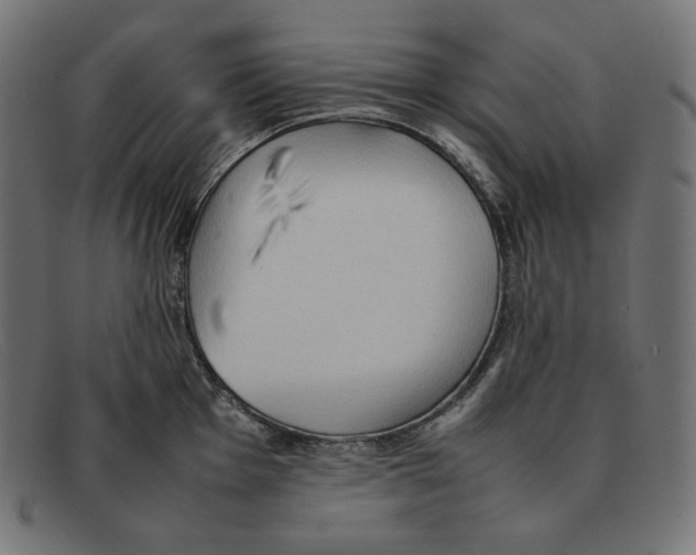 X0000092051001200710101012