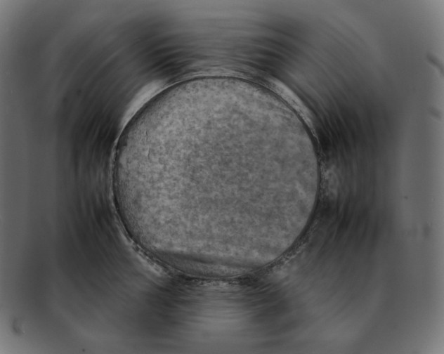 X0000092051002200710101012